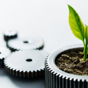 Potted sprouting plant in gear shaped planter