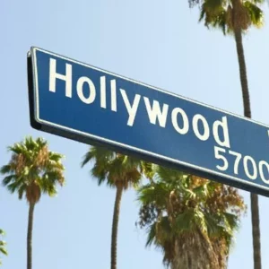 Hollywood Blvd sign with palm trees in the background