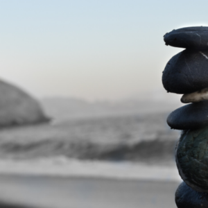 A carin on a rocky beach