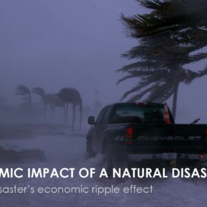 Truck near palm trees in stormy weather