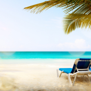 Beach view with two reclining chairs under a palm tree.